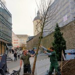 Neue Bäume für die Kölner Straße.